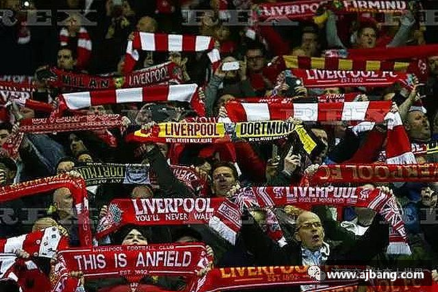 解读MK体育网址